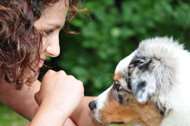 تحقیقات هوش مصنوعی کمک می‌کند با حیوانات خانگی حرف بزنیم