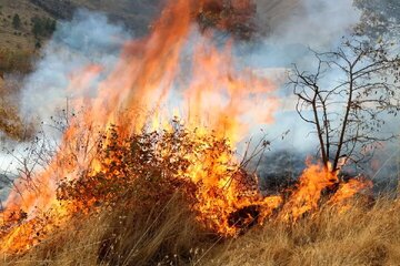 جزئیات درمان مصدومان حریق آبیدر از زبان پزشک معالج؛ از اقدامات فوری تا هشدارهای اورژانسی