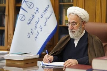 دستور مهم دادستان درباره کالاهای اساسی