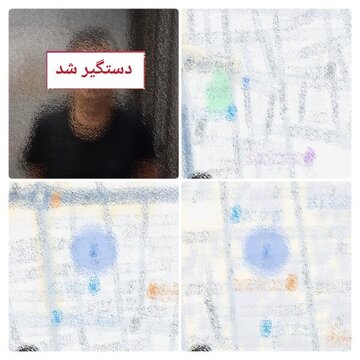 5208566.jpg