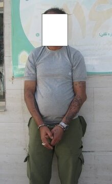 دستگیری سارق حرفه ای با اعتراف به ۴۰ فقره سرقت در شاهرود