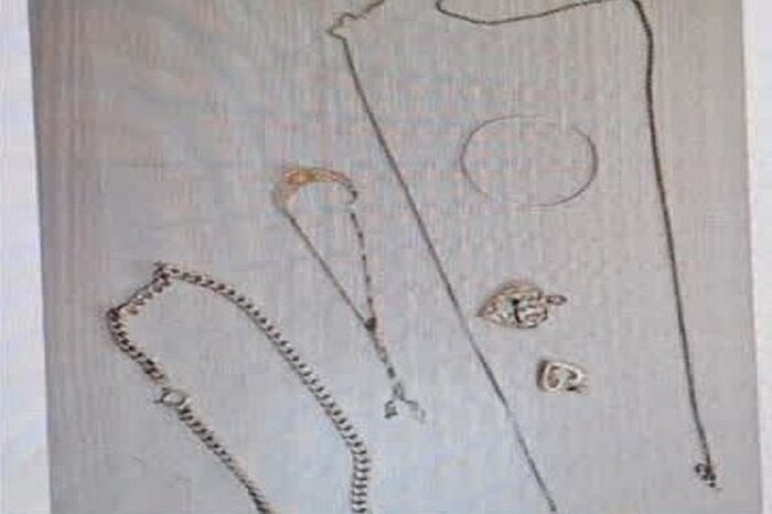 دستگیری سارق میتسوبیشی سوار در اردبیل