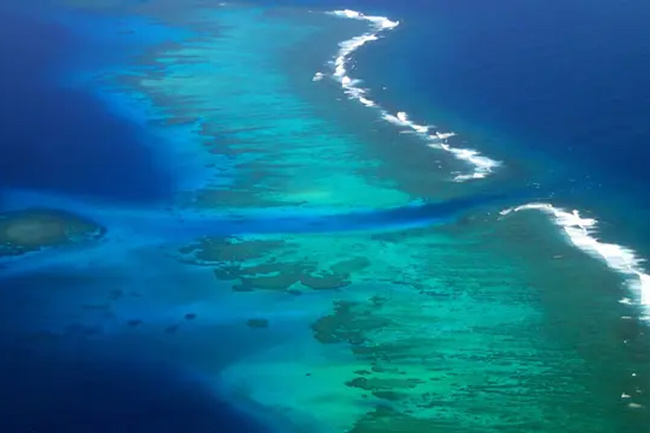 رودخانه‌ها: معماران پنهان صخره‌های مرجانی