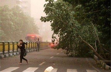 سازمان هواشناسی اطلاعیه داد