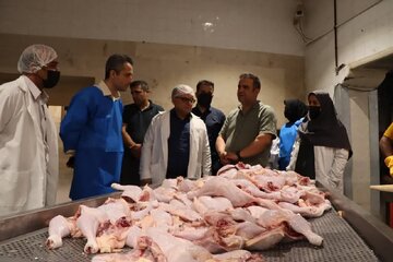 سرمایه‌گذاری ۲۵۰ میلیارد ریالی برای توسعه ظرفیت کشتارگاه گلچین طیور سمنان