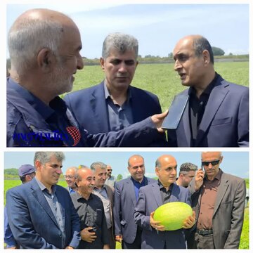 ظرفیت بالای گیلان در تولید محصولات کشاورزی