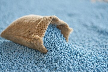 واگذاری تجدیدنظر بیش از ۳۰ استاندارد ملی در رشته کودها و سموم به خوزستان