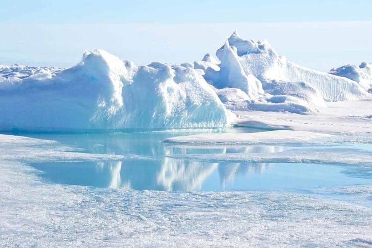 کشف شگفت‌انگیز دانشمندان در مورد آنچه در زیر صفحه یخی قطب جنوب نهفته است