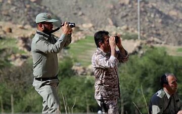 کشف لاشه قوچ وحشی در ارتفاعات این شهر