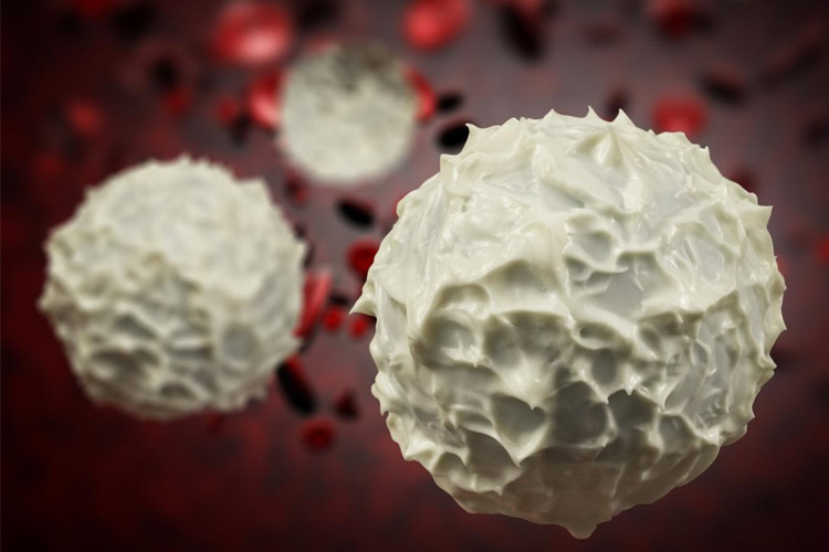 ۳۰ دقیقه ورزش گلبول‌های سفید ضد سرطان را افزایش می‌دهد