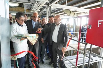  افتتاح دو خط جدید تولید مواد مؤثره دارویی در کرمانشاه