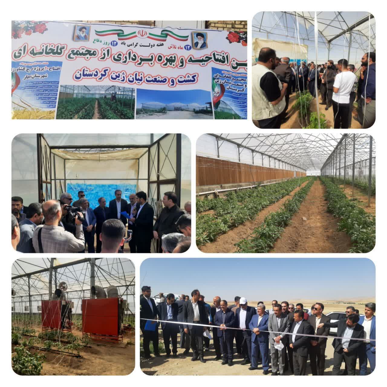 افتتاح مجتمع گاوشیری دیواندره؛ گامی مؤثر در تقویت صنعت دامپروری و اشتغال‌زایی در کردستان