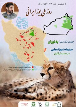 باید اقدام ملی برای نجات یوز انجام شود