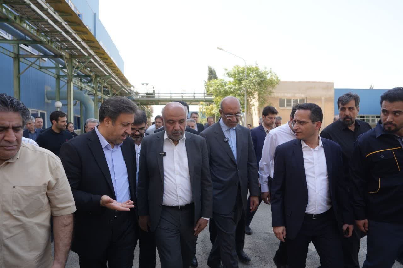 تاکید وزیر تعاون، کار و رفاه اجتماعی بر راه‌اندازی مجدد کارخانه اسیدسیتریک کرمانشاه 