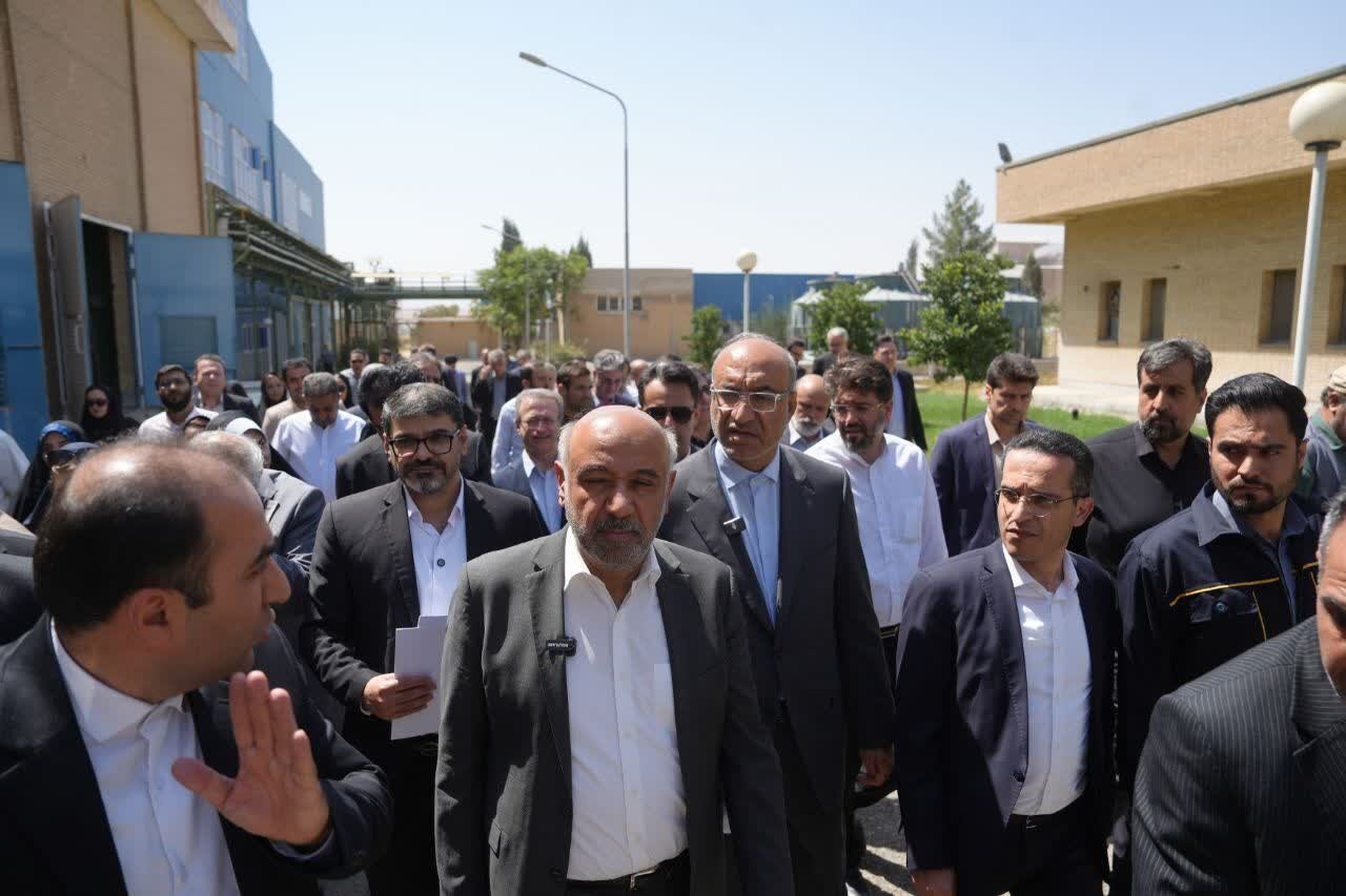 تاکید وزیر تعاون، کار و رفاه اجتماعی بر راه‌اندازی مجدد کارخانه اسیدسیتریک کرمانشاه 