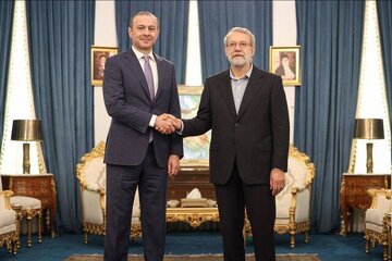 لاریجانی: ایران از قوی بودن کشورهای منطقه در جهت پایداری امنیتی حمایت میکند