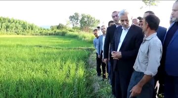 مردم گیلان، خود بهترین قاضی هستند