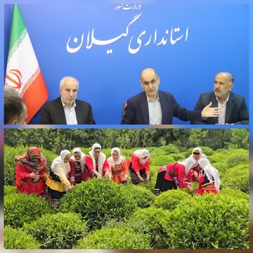 مطالبات چایکاران برای نخستین‌بار به‌طور کامل پرداخت شد