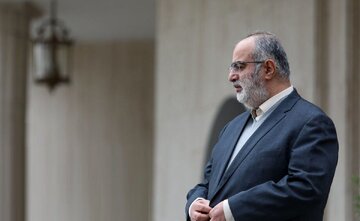 پاسخ کنایه آمیزآشنا به رسایی؛ کسی سر کسی چیزی نمالیده است!/دیپلماتهای کشور تلاش کردند تا چیزی را که به ریشمان مالیده شده بود را پاک کنند