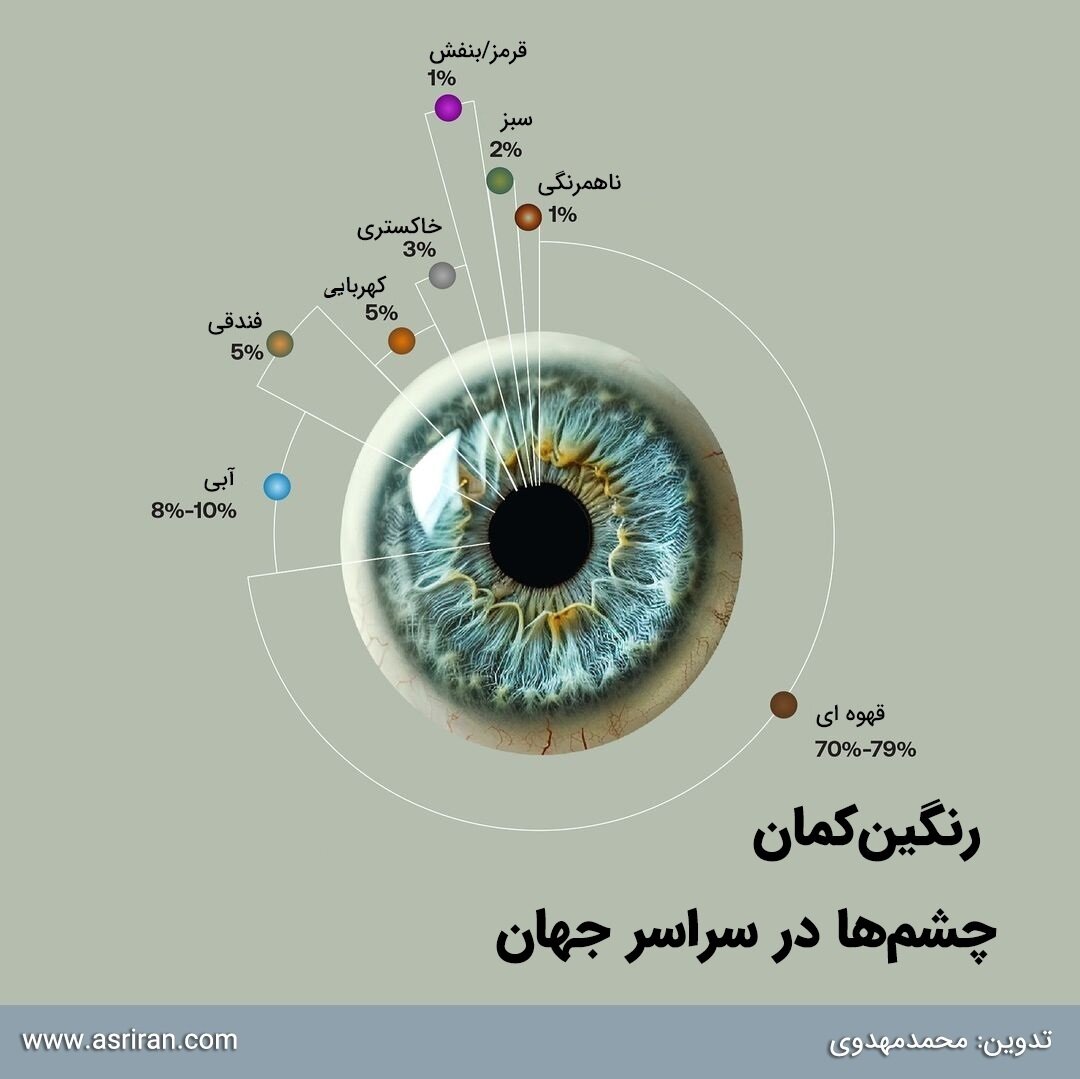 چشمِ رنگی فقط «سبز» و «آبی» نیست/ نقشه جهانی رنگ چشم انسانها/ پرجمعیتترین رنگ چشم در دنیا کدام است؟/ اینفوگرافی