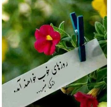 کاهش ۴۱ درصدی خودکشی در همدان