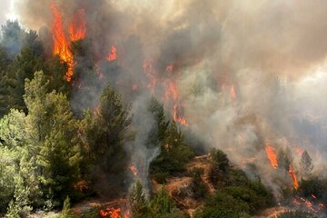 آتشسوزی گسترده در استان فارس/ جزئیات