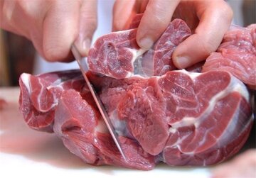 آغاز واردات گوشت قرمز به کشور/ قیمت گوشت ارزان میشود؟