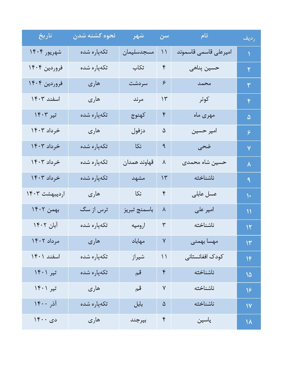 از امیرعلی تا مهسا؛ قربانیان فراموششده سگهای بیصاحب در ایران/ «شخصی با نفوذ قابل توجه از حامیان سگهای ولگرد است»
