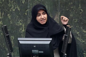 انتقاد تند یک نماینده مجلس از بنیادهای مذهبی و فرهنگی در خارج از کشور/ برخی از سفرای ما پادوهای خانوادگی سیاسیون در فروشگاههای زنجیرهای خارج هستند