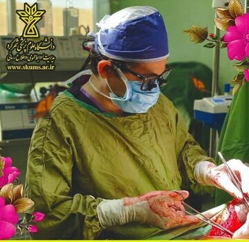 انجام موفقیت آمیز ۳۰ عمل پیوند کبد در شهرکرد