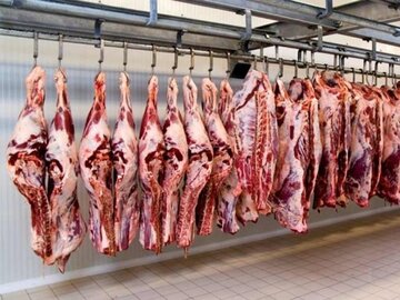 این همه یارانه می دهید، باز هم قیمت گوشت همسطح بازارهای جهانی است