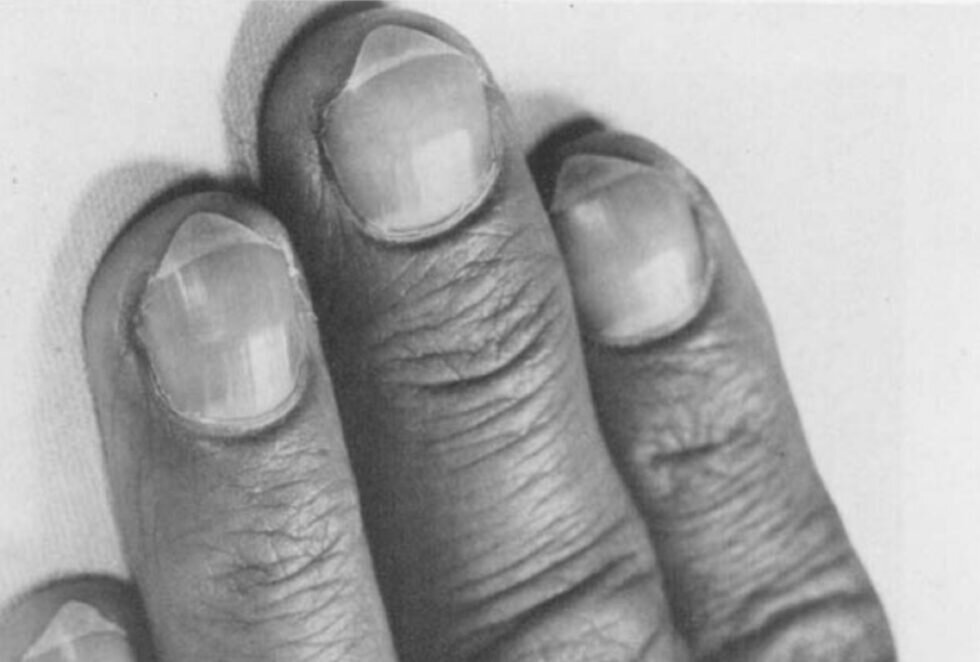 با برندگان جایزه ایگ نوبل ۲۰۲۵ آشنا شوید