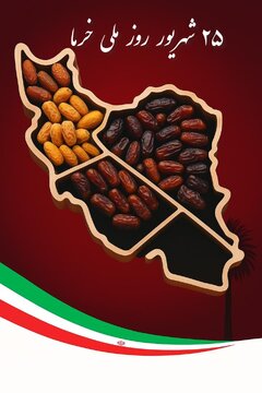 با همدلی و برنامه‌ریزی، خرما می‌تواند پیشران اقتصاد پایدار ایران شود / خرما پیوندی میان توسعه پایدار، معیشت نخل‌داران و صادرات غیر نفتی است