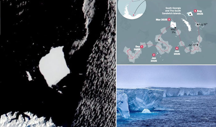 بزرگترین کوه یخ جهان در حال فروپاشی است