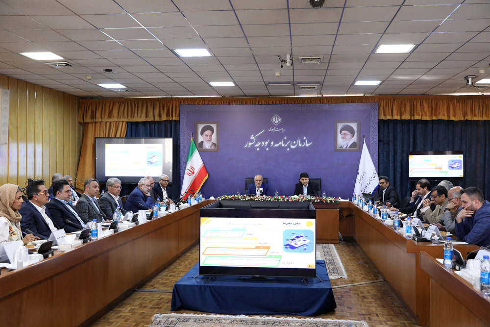 مشارکت بخش خصوصی شاهبیت تحول دیجیتال دولت است