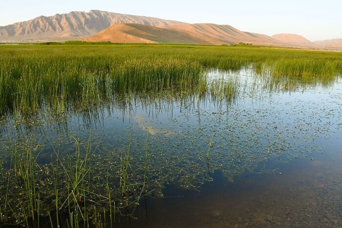 سفری به چهارگوشه ایران در آخرین روزهای تابستان/ ۱۰ مقصد جذاب برای ماجراجویی در تعطیلات آخر هفته