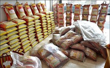 سقف قیمت برای برنج وارداتی غیرکارشناسی است/ انبار برنج نو توسط یک شرکت دولتی