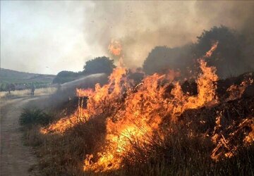 فریاد بی‌صدای خوزستان را بشنوید! هورالعظیم در آستانه نابودی