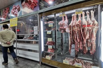 قیمت جدید دام‌زنده اعلام شد/ چرا گوساله به یک‌باره کیلویی ۱۰۰ هزار تومان گران شد