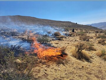 مهار سریع آتش‌سوزی «گود خونی» هلن با همدلی مردم و محیط‌بانان