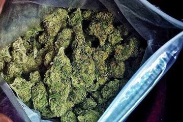 موادفروش سابقه‌دار در شوش دستگیر شد/ کشف ۱۱ کیلوگرم گل