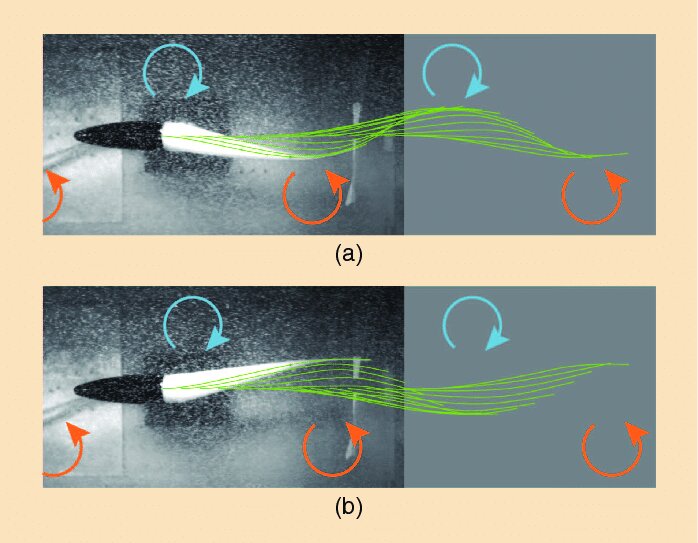 موشک آزمایشی شب گذشته، چقدر قدرتمند بود؟ /  نگاهی علمی به رد درخشان موشک در آسمان کشور