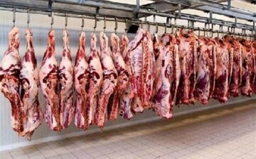 واردات ۲۰۰ هزار تنی گوشت قرمز برای تنظیم بازار/ قیمت گوشت ارزان می شود؟