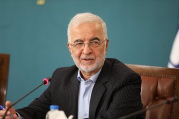 وزیر کشور: انسداد مرزها به صورت فیزیکی و الکترونیکی در دستورکار دولت است/ چه تعداد زائر در پیاده روی اربعین حضور داشتند؟