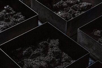 پشت پرده باریکترین آیفون تاریخ: باتری جدید اپل چیست؟