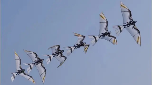 پهپاد متفاوت چین به راحتی دشمن را غافلگیر میکند / ربات پرنده یا شاهین واقعی؟