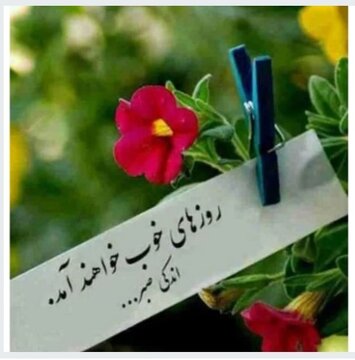 کاهش ۳۵ درصدی آمار خودکشی در ششماه نخست سال در همدان