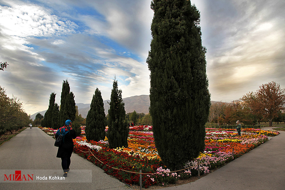 کجا به استقبال پاییز برویم؟/ ۵ مقصد جذاب برای تهرانگردی در یک روز