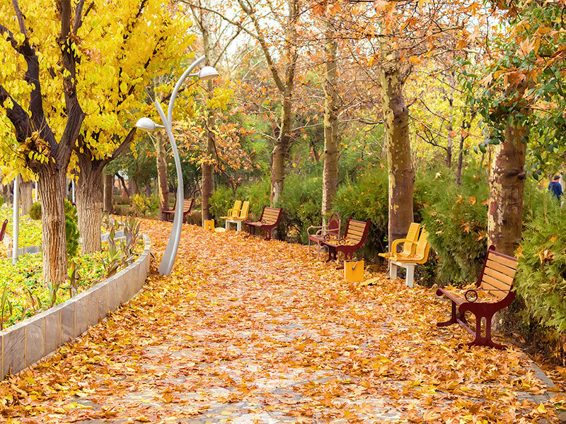 کجا به استقبال پاییز برویم؟/ ۵ مقصد جذاب برای تهرانگردی در یک روز