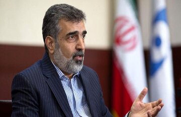 کمالوندی: بهرغم سنگاندازی آمریکا، برای تصویب قطعنامه پیشنهادی ایران تلاش میکنیم